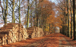 Mosbeekweg